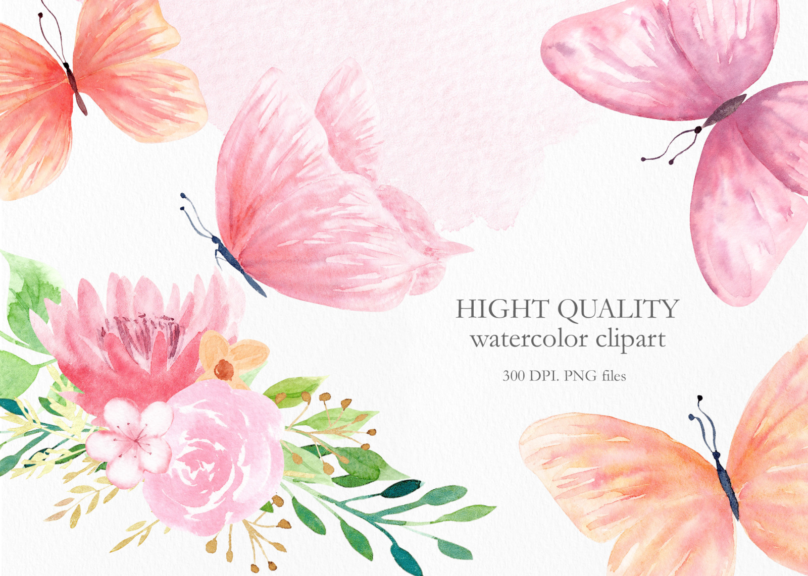 Watercolor Floral and Butterfly Tenderly Collection.