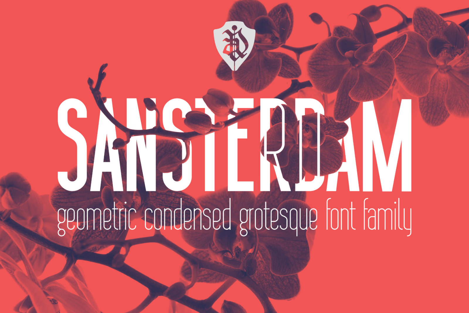 Sansterdam Bold & Thin Sansterdam Bold & Thin