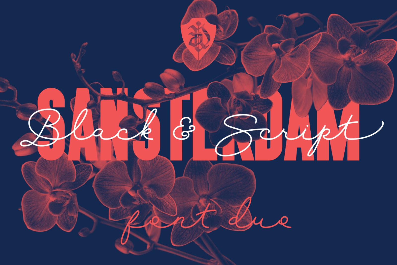 Sansterdam Black & Script Sansterdam Black & Script