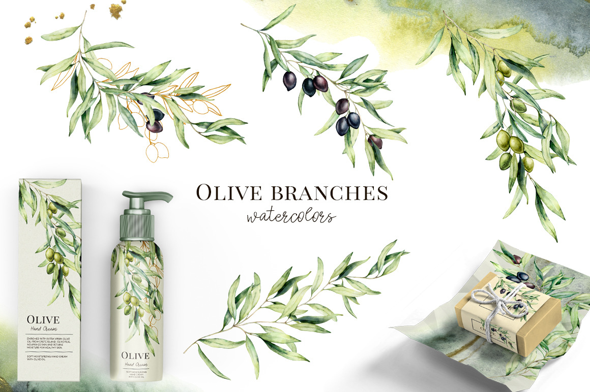 Olives. Watercolor collection