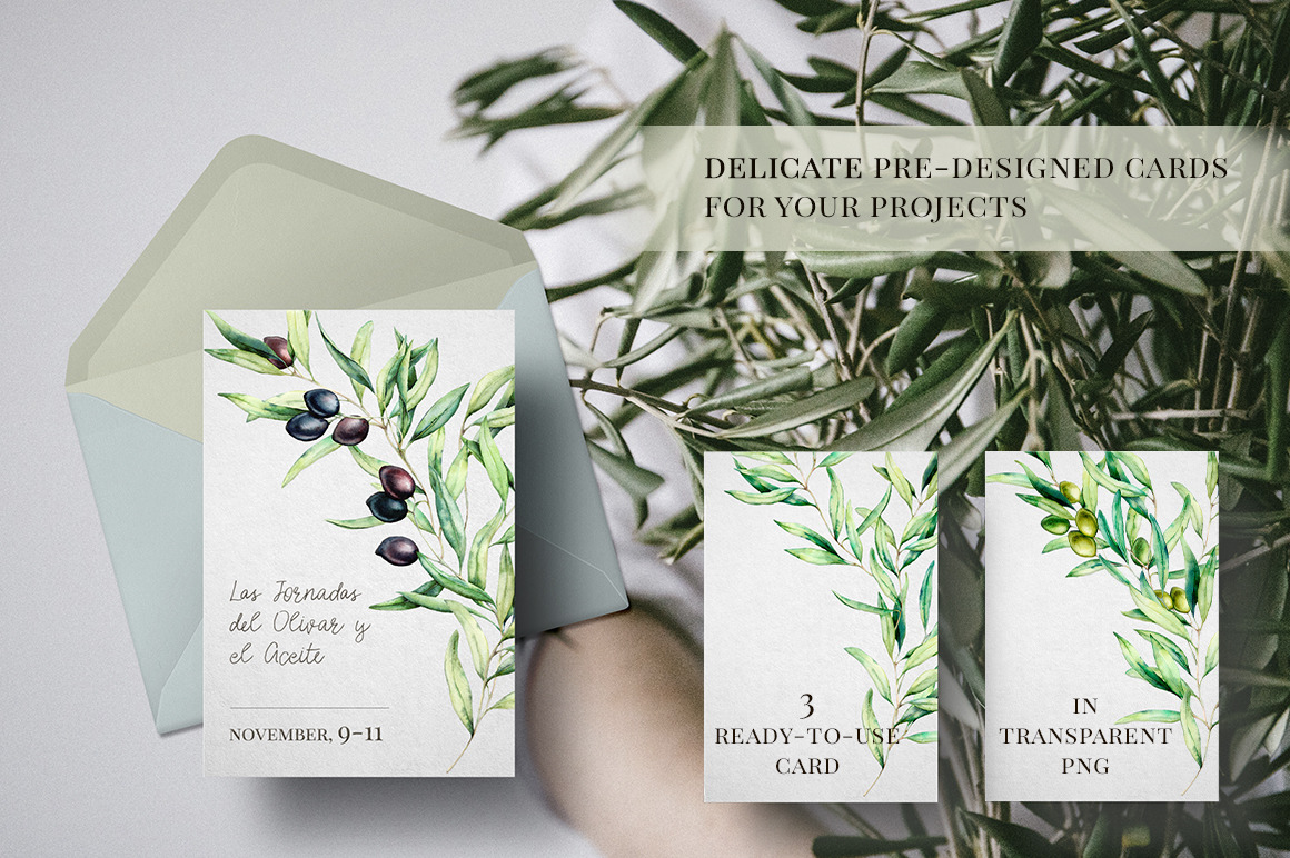 Olives. Watercolor collection