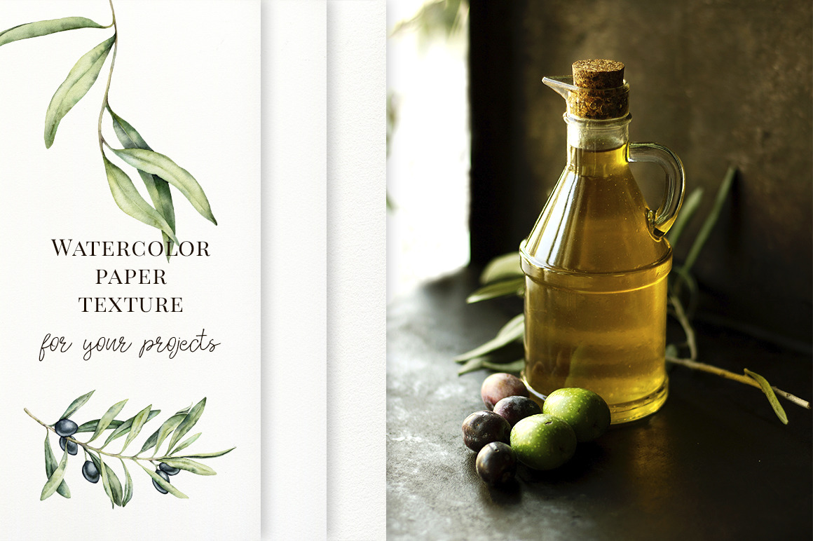 Olives. Watercolor collection