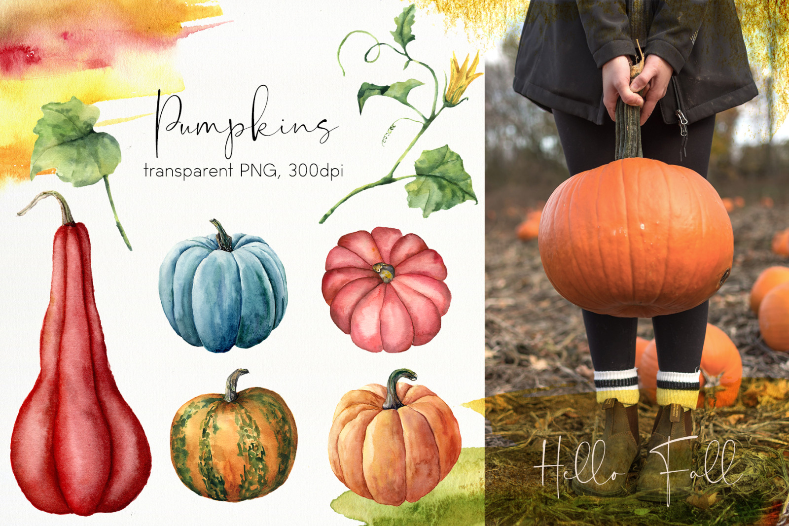 Pumpkins. Watercolor bundle