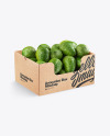 Box With Avocado