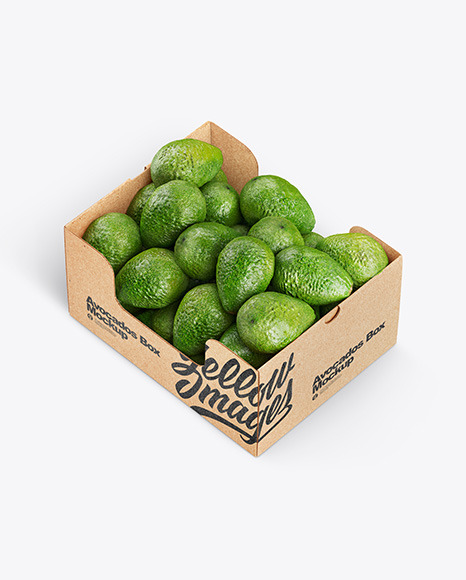 Box With Avocado