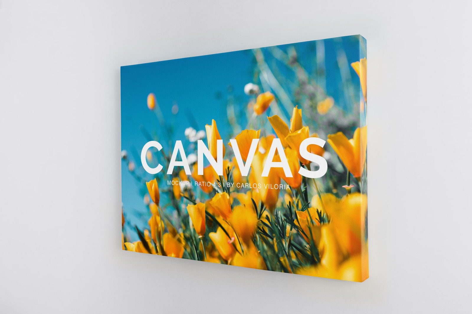 Landscape Canvas Ratio 4x3 Mockup