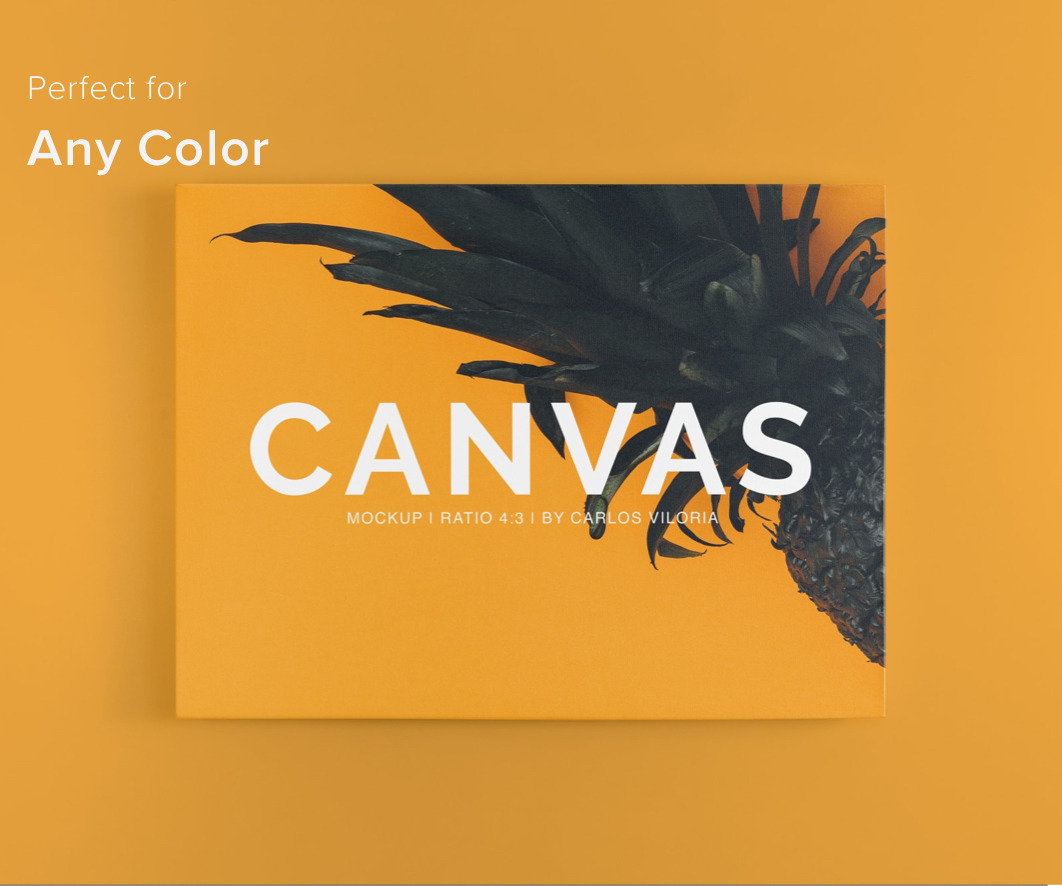 Landscape Canvas Ratio 4x3 Mockup 03