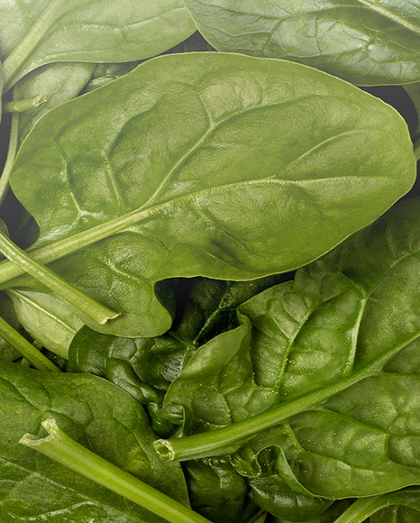 Plastic Bag With Spinach Mockup