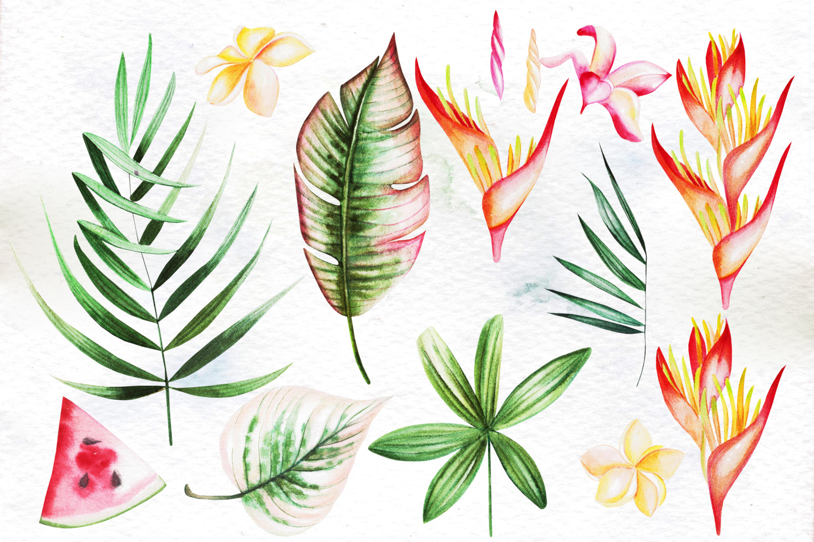 Hand Drawn Watercolor Tropic 4 Hand Drawn Watercolor Tropic 4