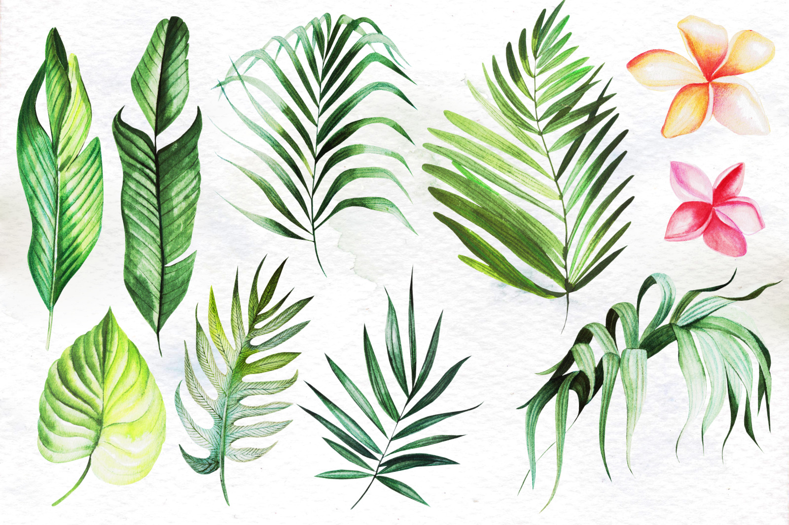 Hand Drawn Watercolor Tropic 4 Hand Drawn Watercolor Tropic 4
