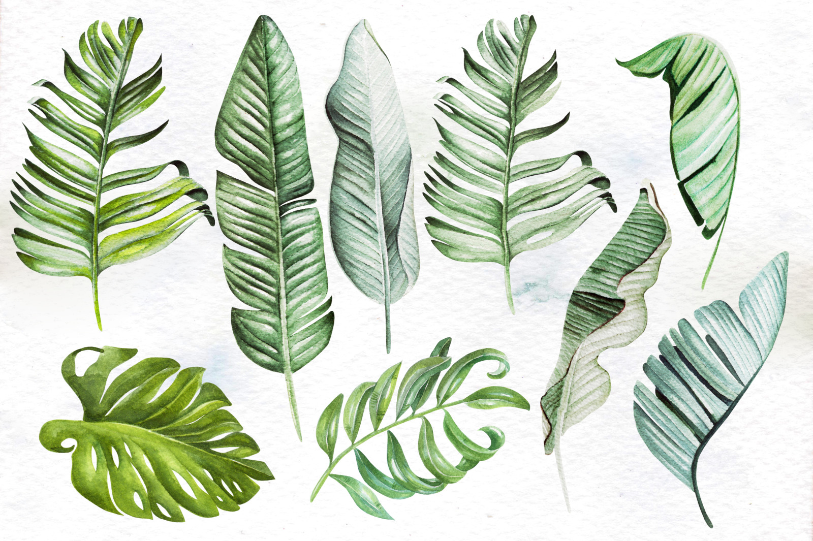 Hand Drawn Watercolor Tropic 4 Hand Drawn Watercolor Tropic 4