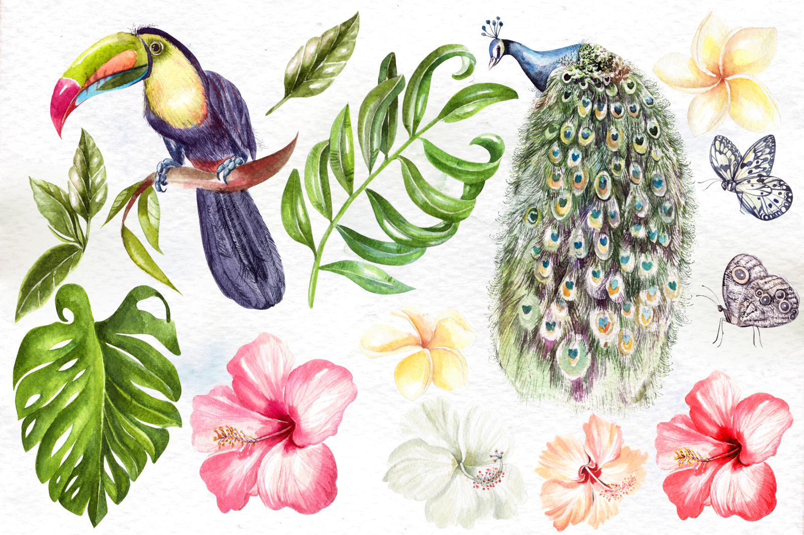 Hand Drawn Watercolor Tropic 4 Hand Drawn Watercolor Tropic 4