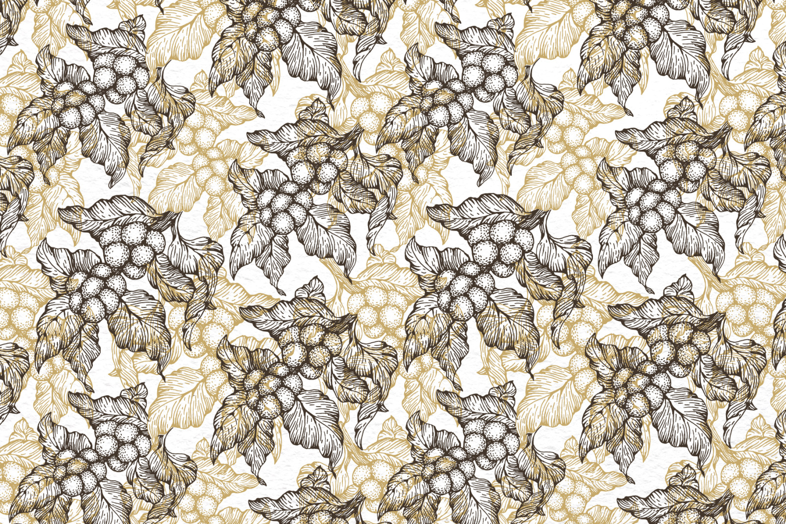 Coffee Vector Collection Coffee Vector Collection
