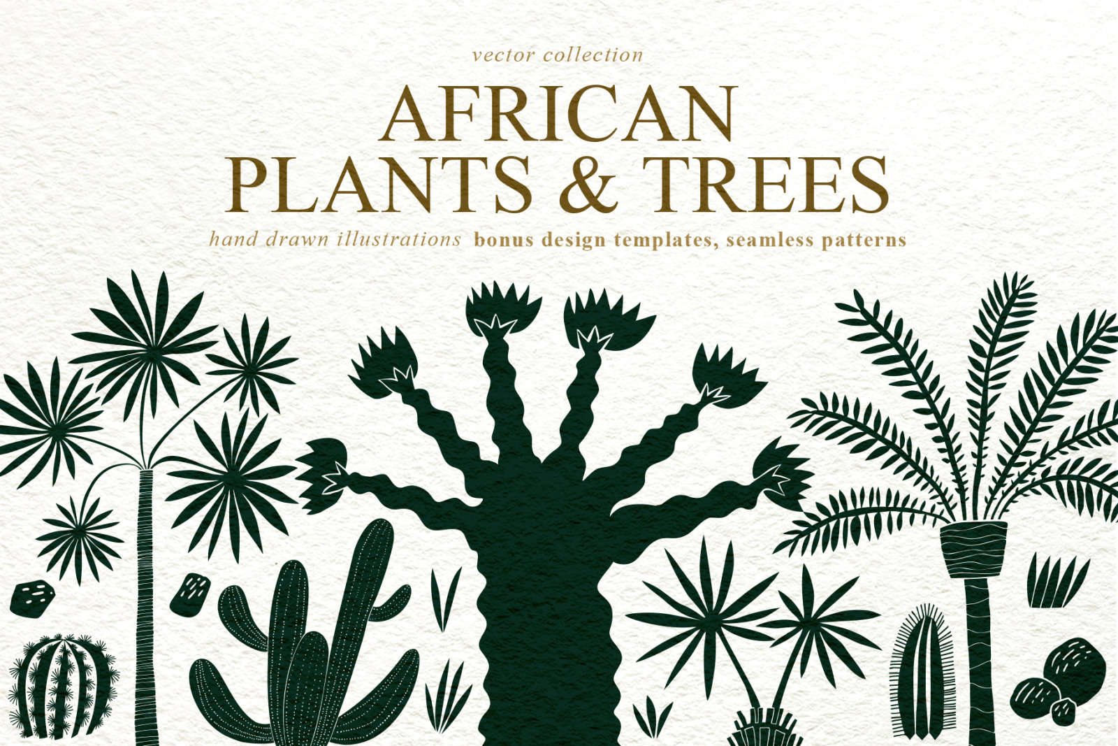 African Plants Vector Collection African Plants Vector Collection