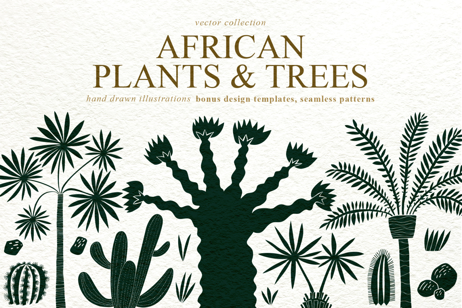 African Plants Vector Collection