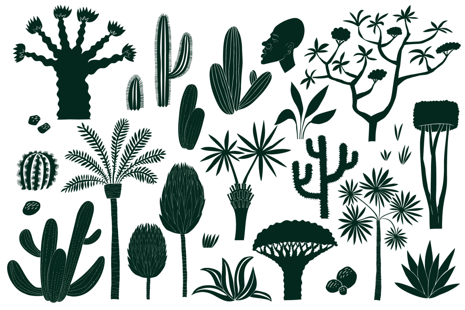 African Plants Vector Collection