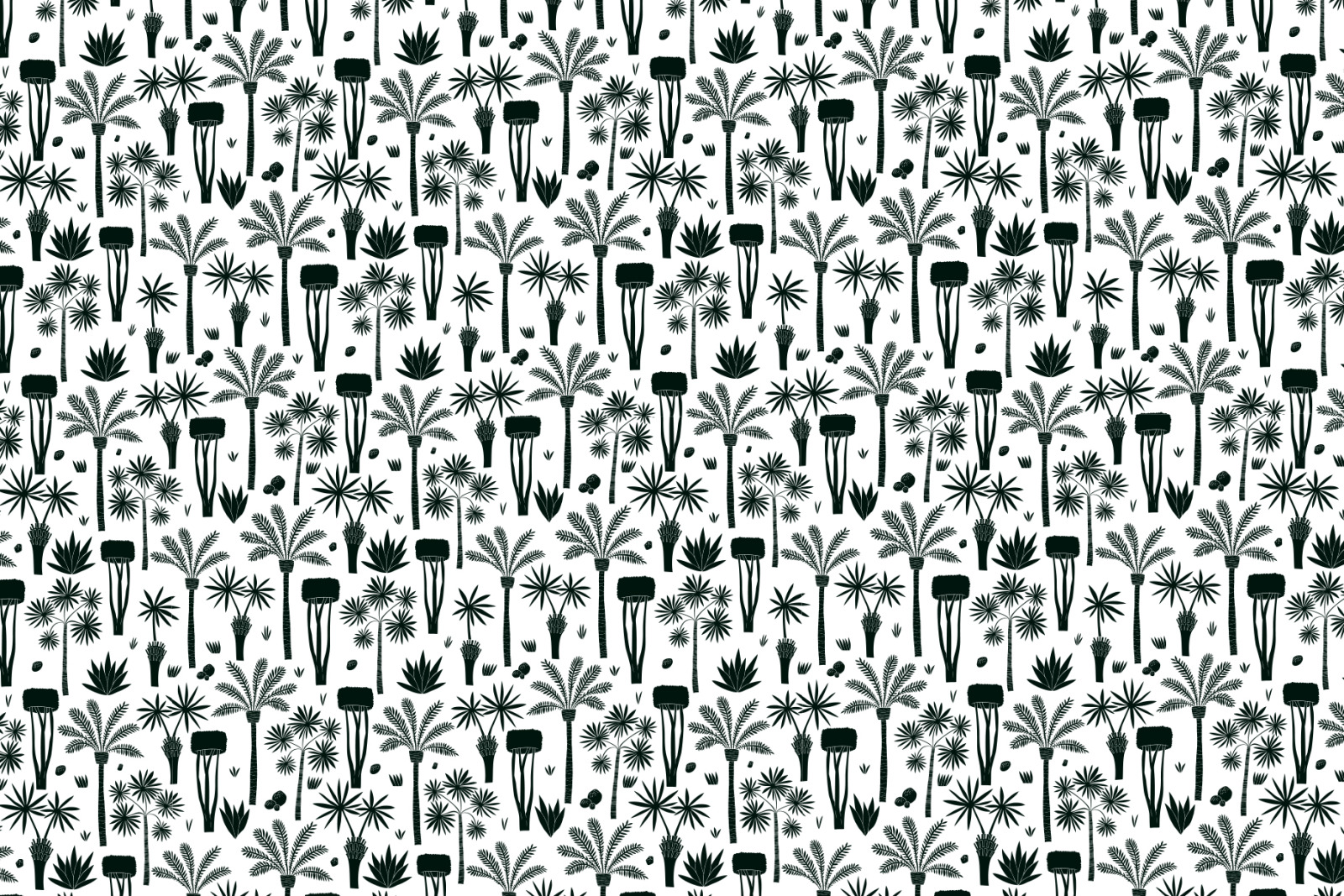 African Plants Vector Collection