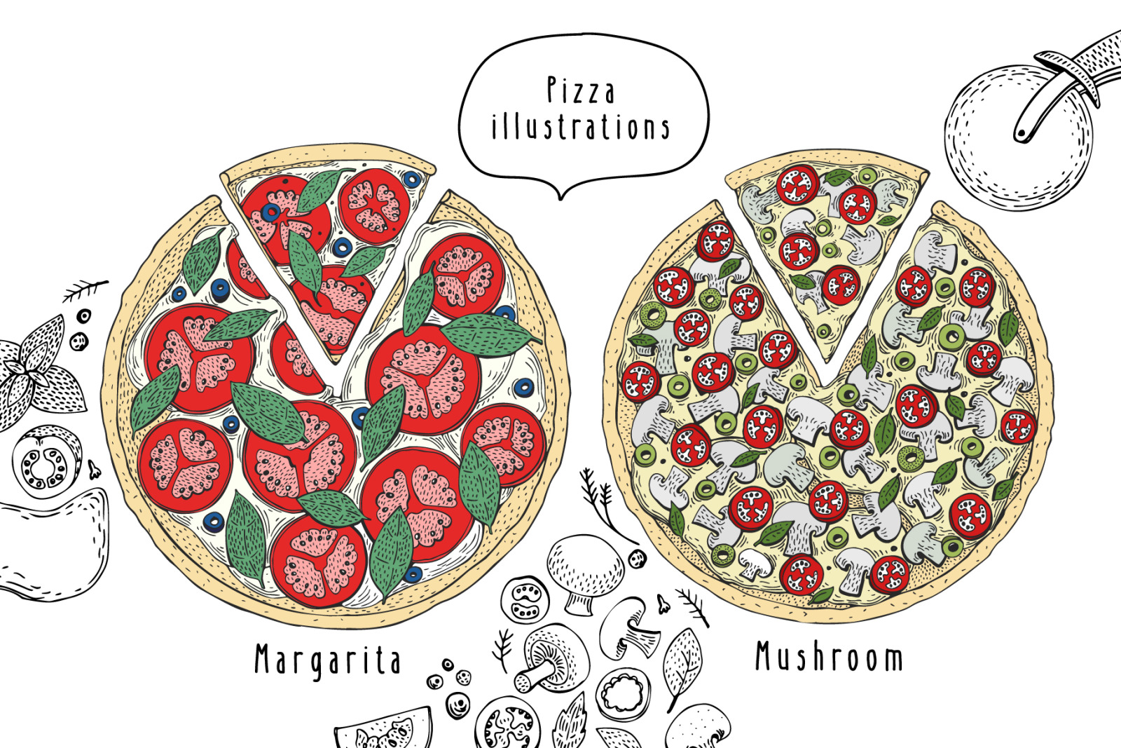 Pizza Vector Collection Pizza Vector Collection
