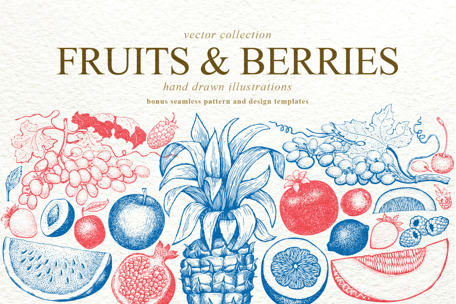 Fruits&Berries Vector Collection Fruits&Berries Vector Collection