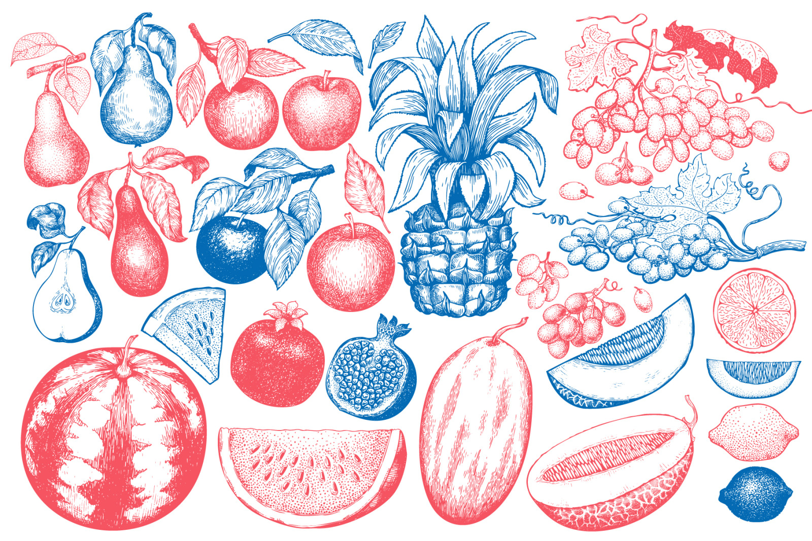 Fruits&Berries Vector Collection Fruits&Berries Vector Collection