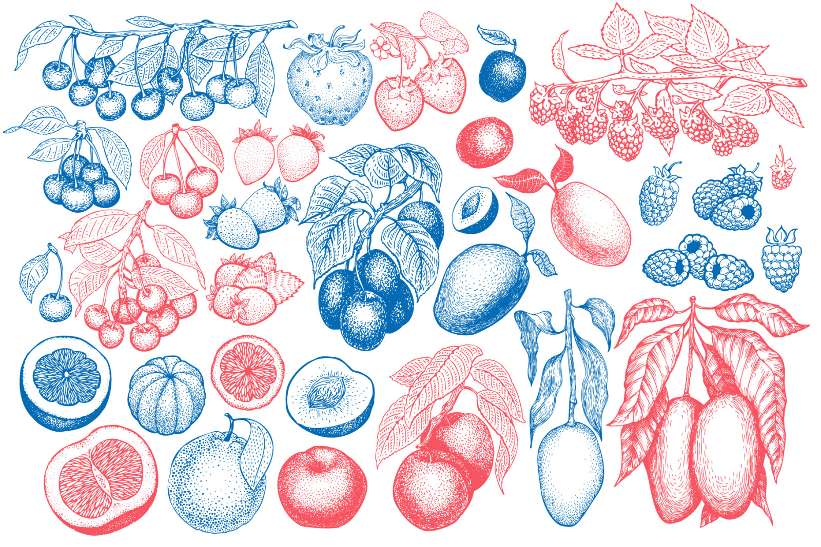 Fruits&Berries Vector Collection Fruits&Berries Vector Collection