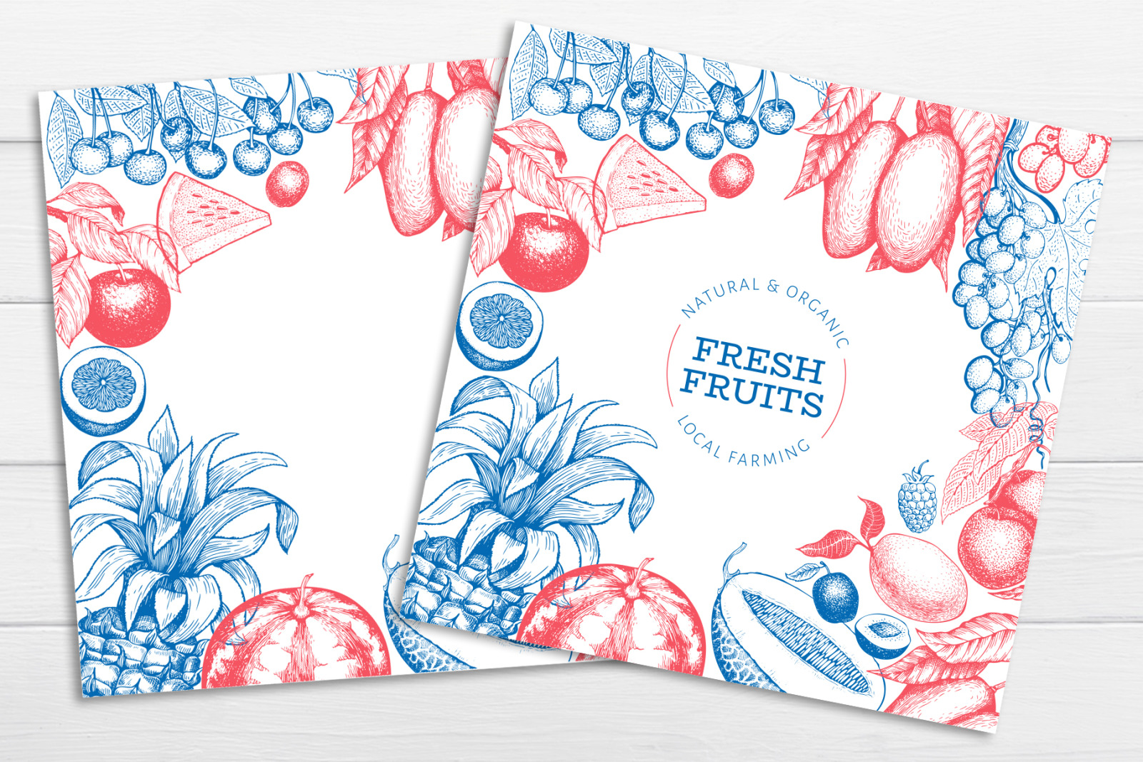 Fruits&Berries Vector Collection Fruits&Berries Vector Collection