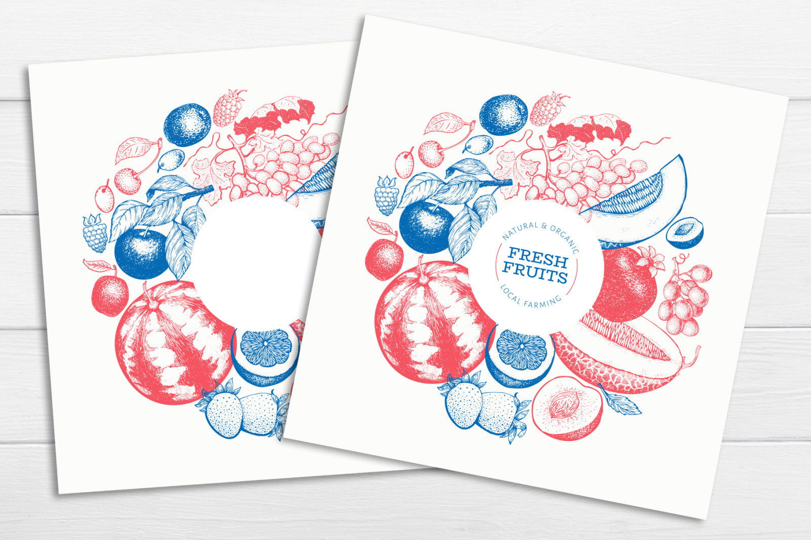 Fruits&Berries Vector Collection Fruits&Berries Vector Collection