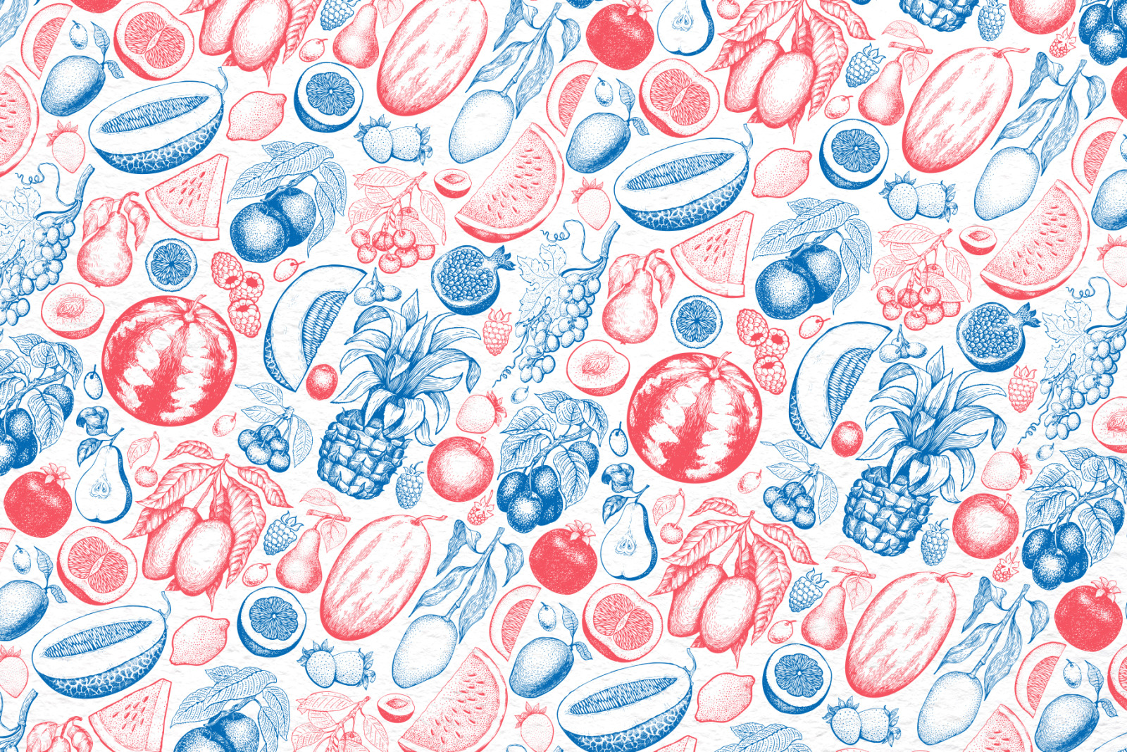 Fruits&Berries Vector Collection Fruits&Berries Vector Collection
