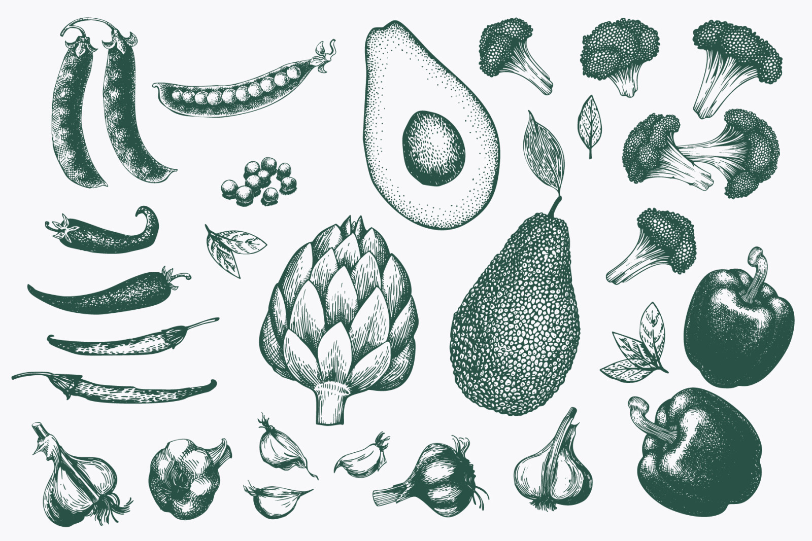 Vegetable Vector Collection Vegetable Vector Collection
