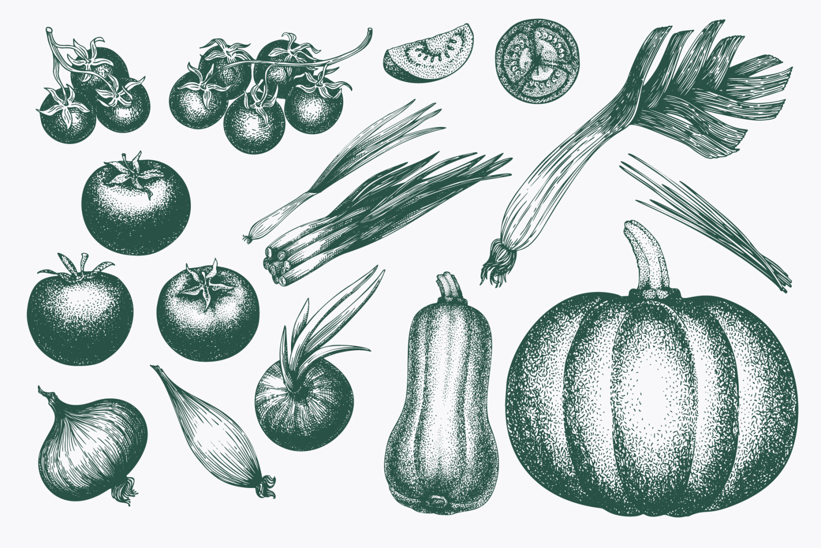 Vegetable Vector Collection Vegetable Vector Collection