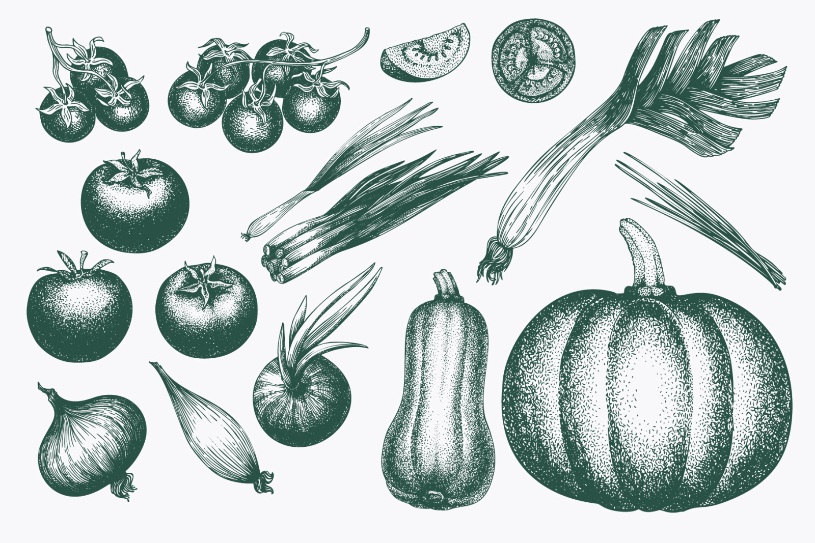 Vegetable Vector Collection