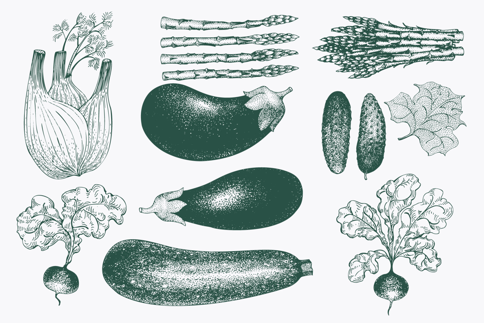Vegetable Vector Collection Vegetable Vector Collection