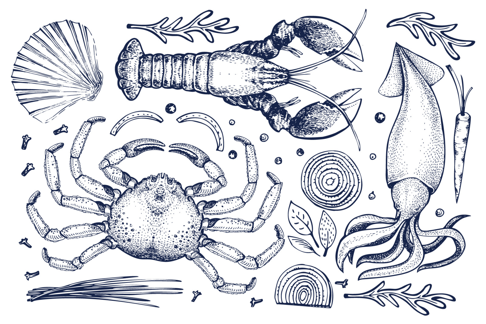 Seafood Vector Collection