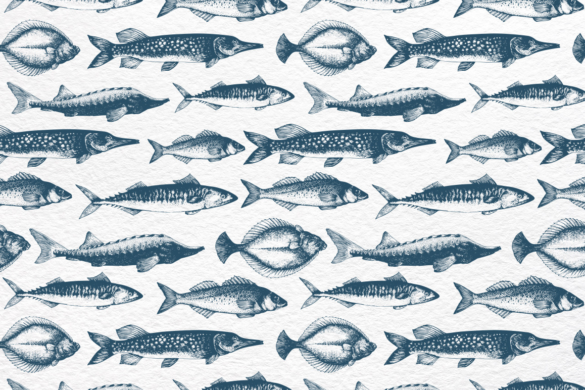 Fish Vector Collection Fish Vector Collection
