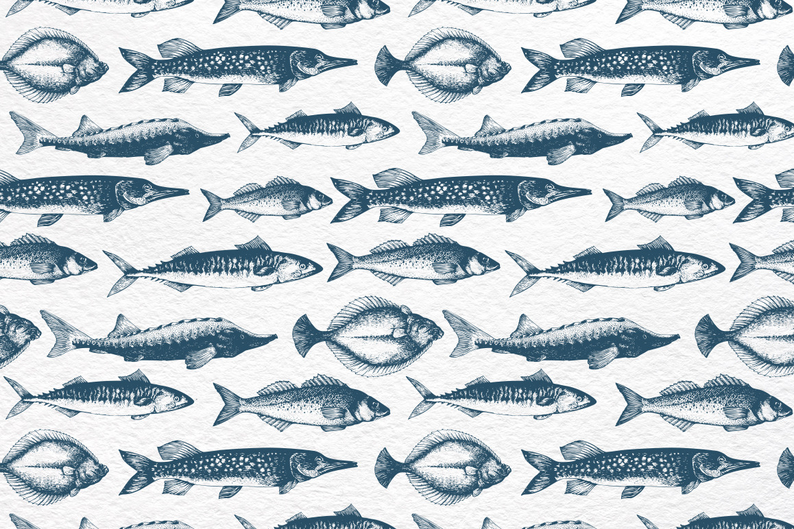 Fish Vector Collection