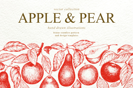 Apple & Pear Vector Collection - Vitamin