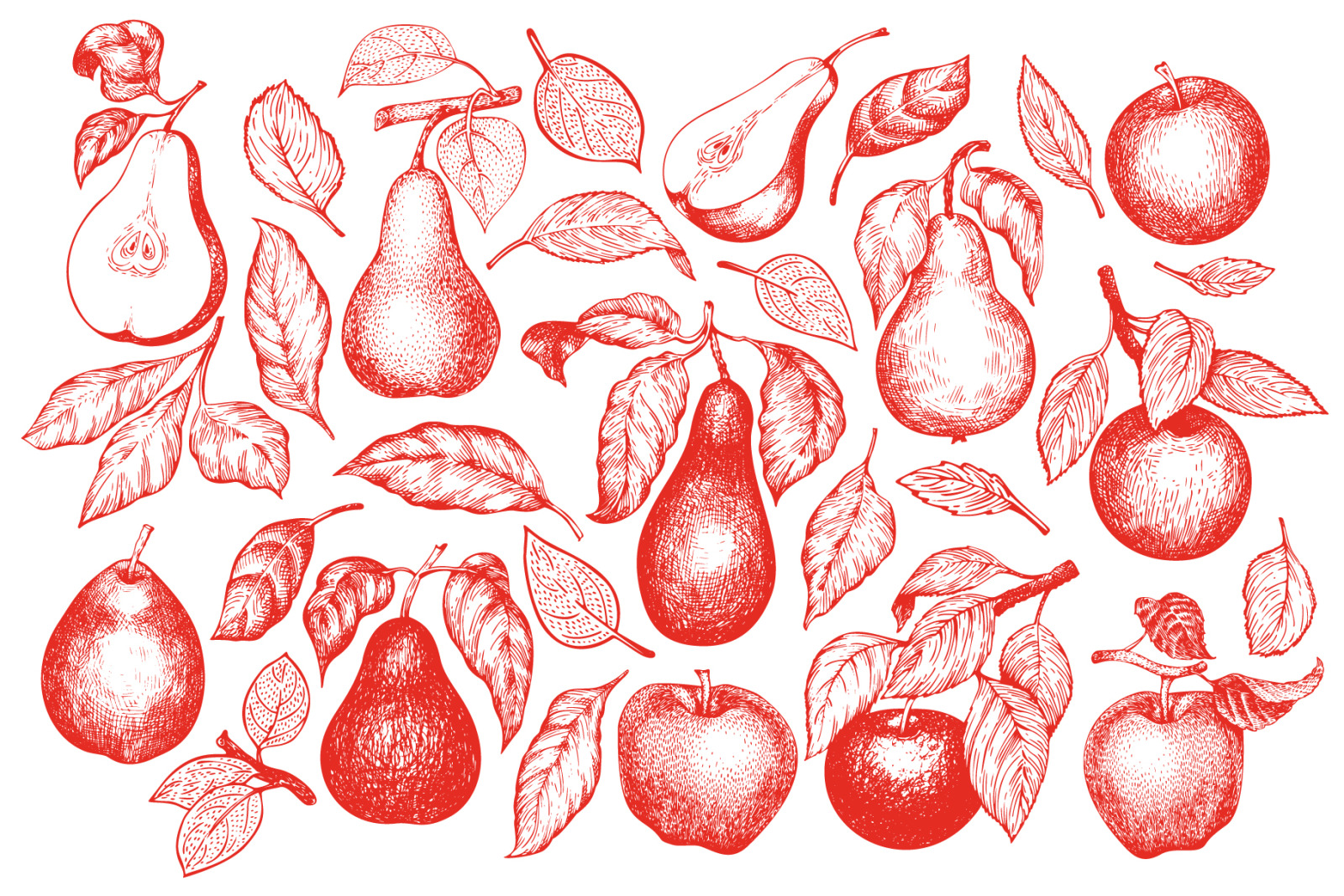 Apple &amp; Pear Vector Collection