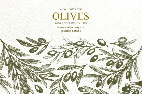 Olive Vector Collection - Seamless patterns