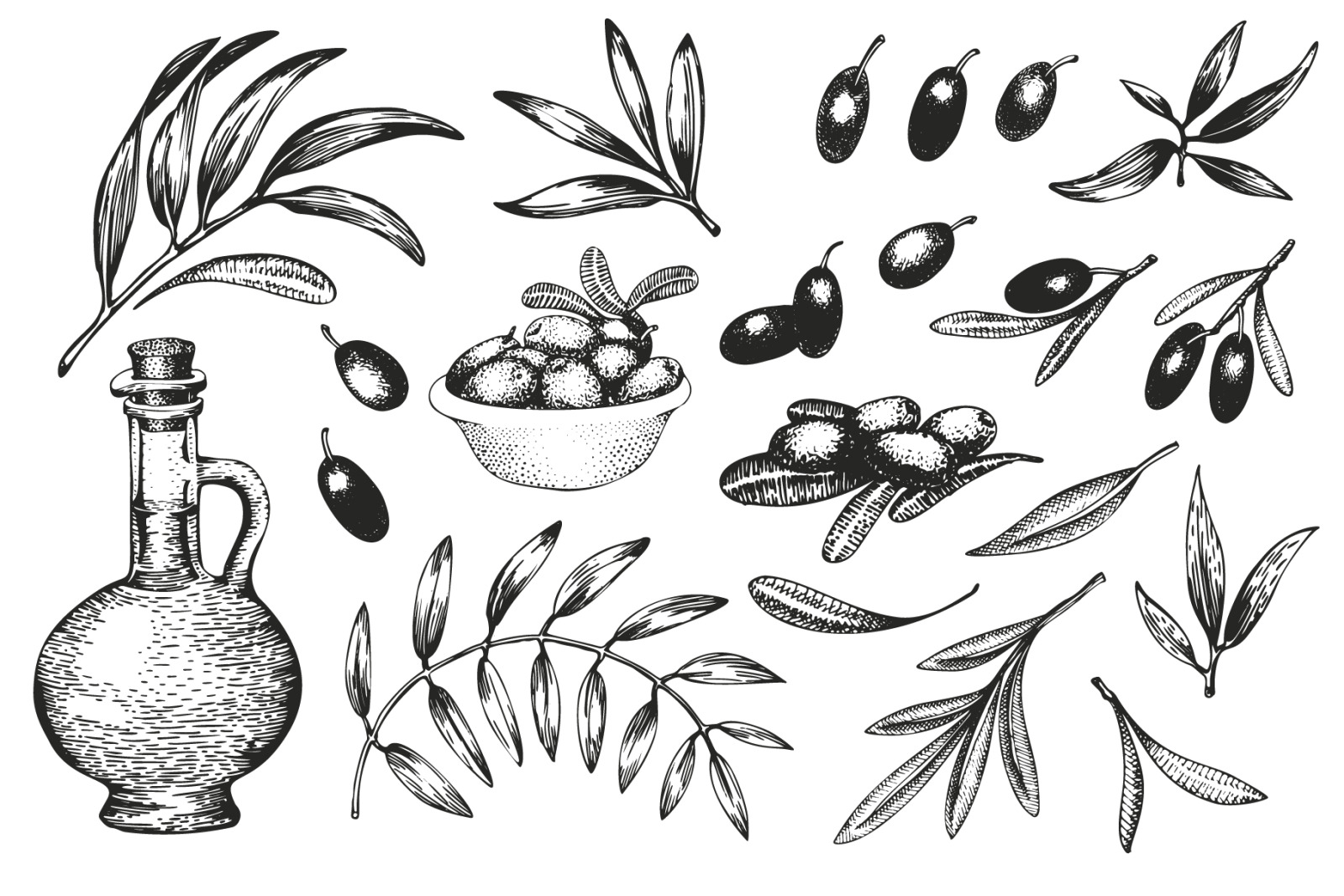 Olive Vector Collection Olive Vector Collection