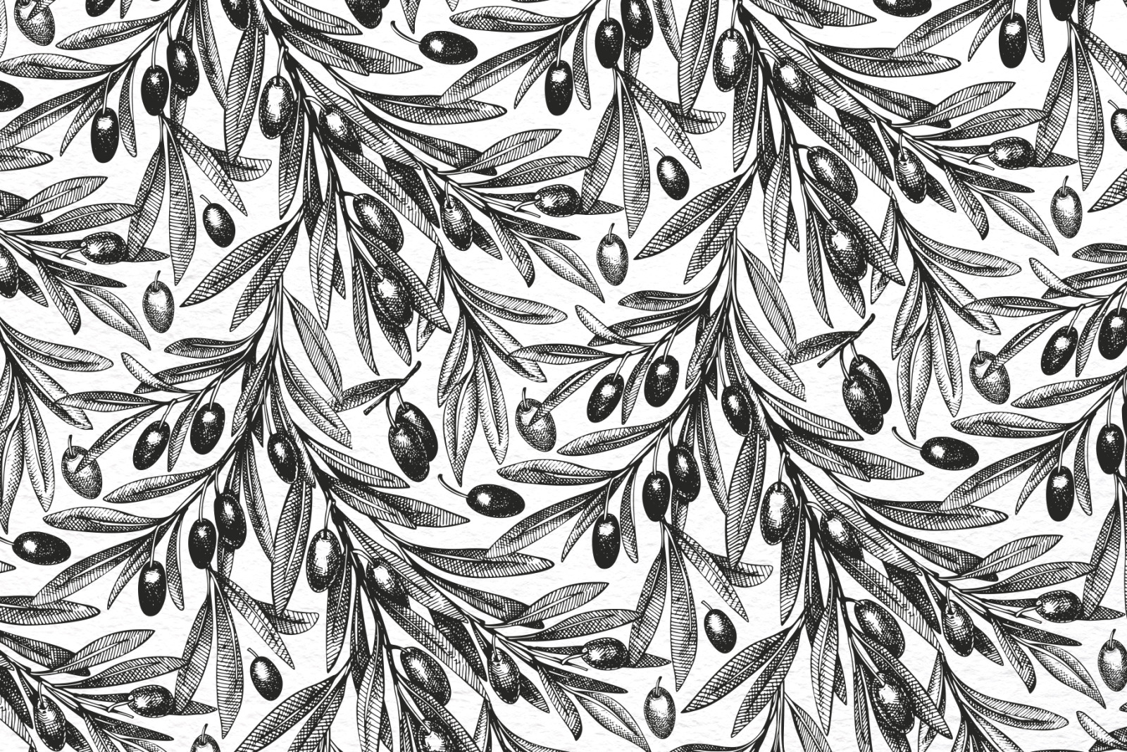 Olive Vector Collection Olive Vector Collection