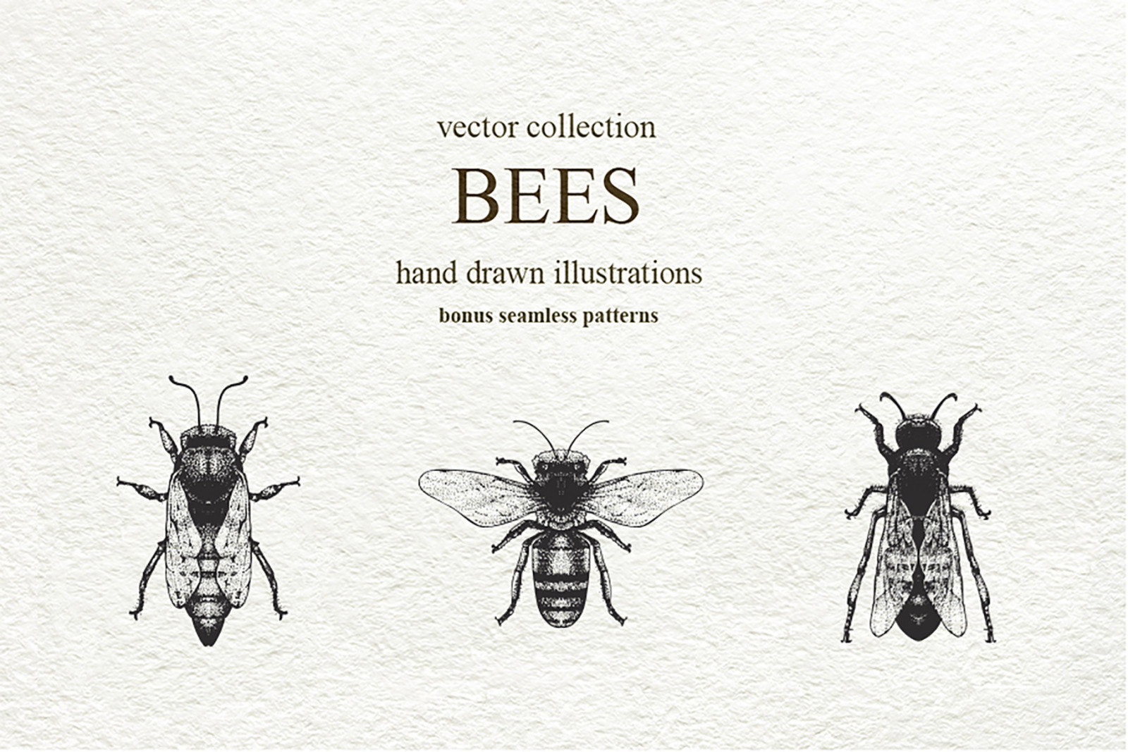 Bee Vector Collection Bee Vector Collection
