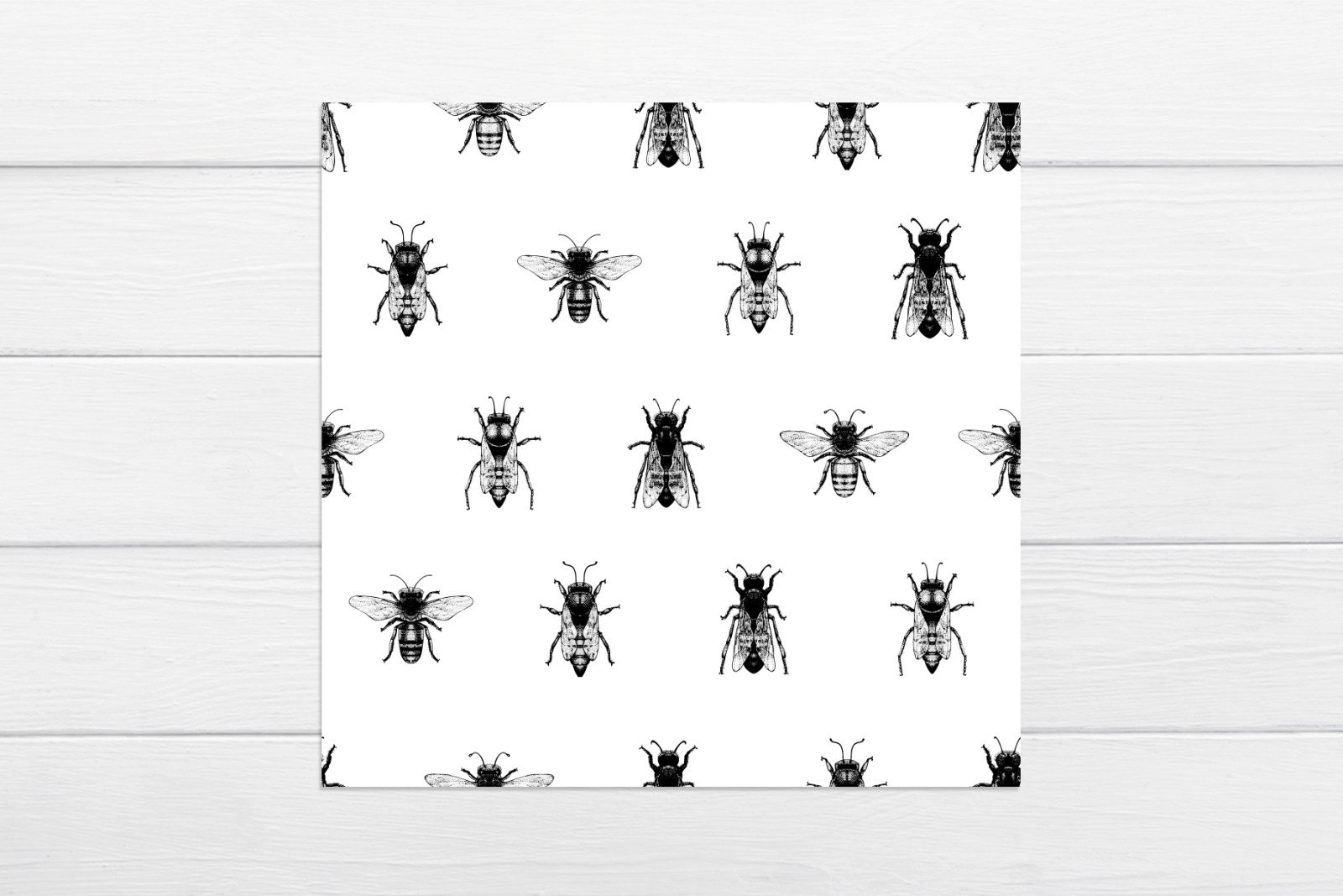 Bee Vector Collection