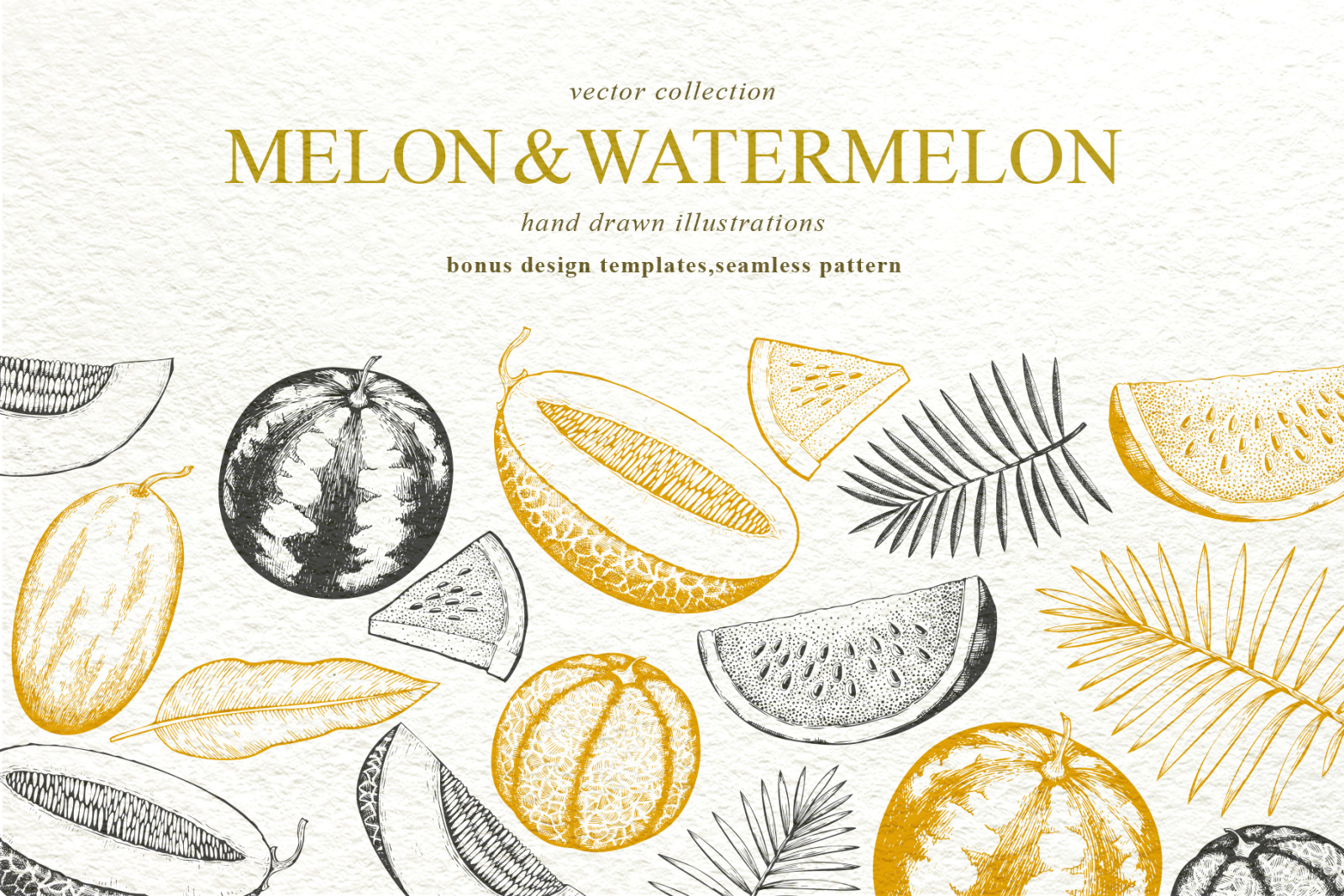 Melon &amp; Watermelon Vector Collection