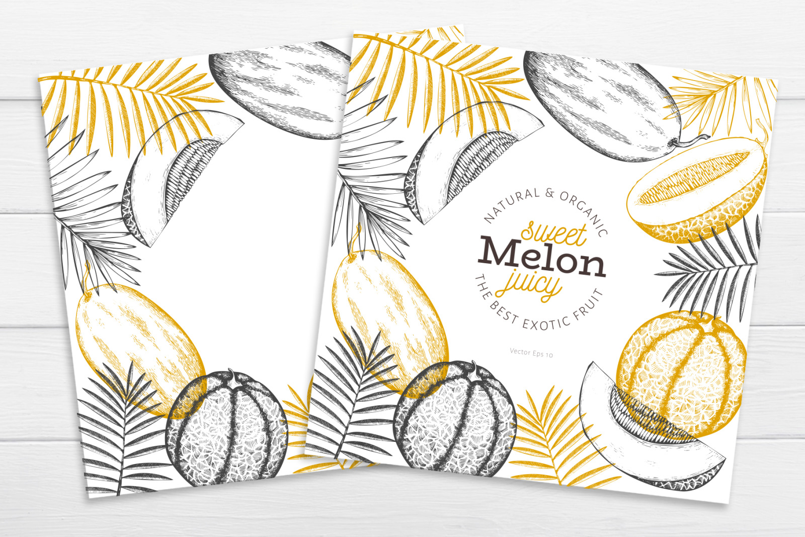Melon & Watermelon Vector Collection Melon & Watermelon Vector Collection