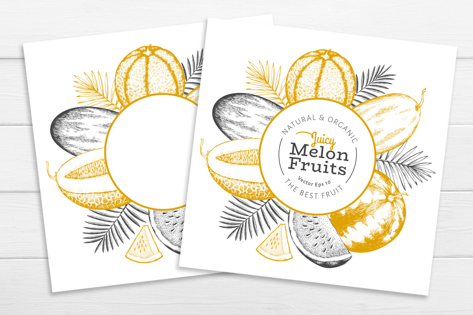 Melon & Watermelon Vector Collection Melon & Watermelon Vector Collection