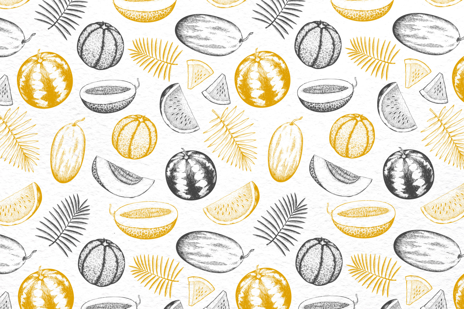 Melon & Watermelon Vector Collection Melon & Watermelon Vector Collection