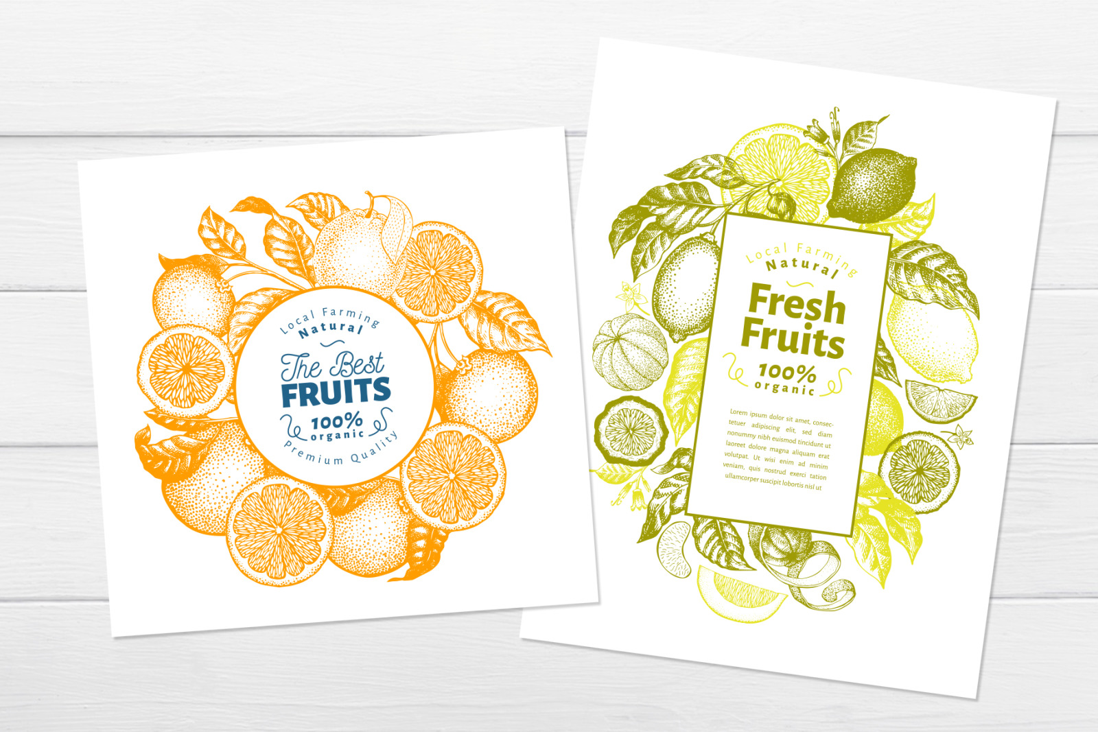 Citrus Vector Collection Citrus Vector Collection