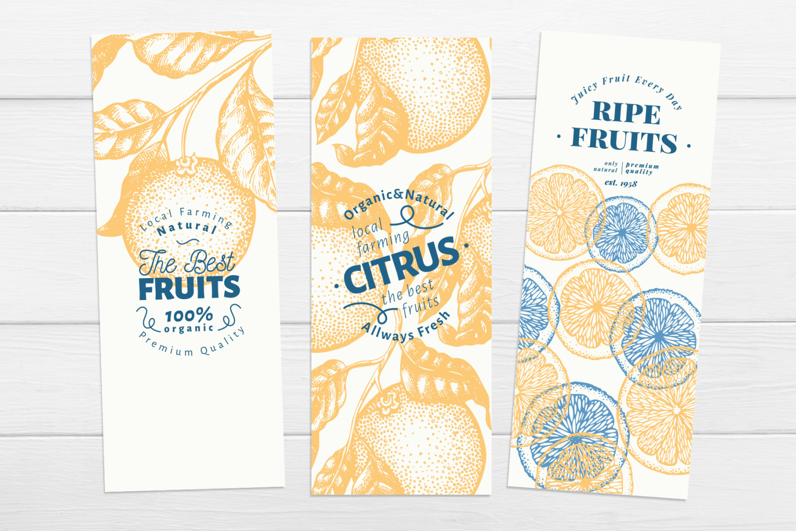Citrus Vector Collection Citrus Vector Collection