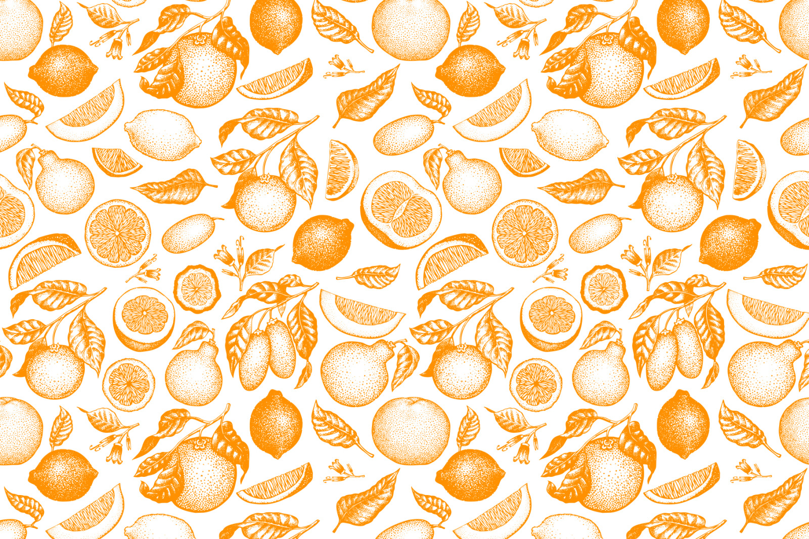 Citrus Vector Collection