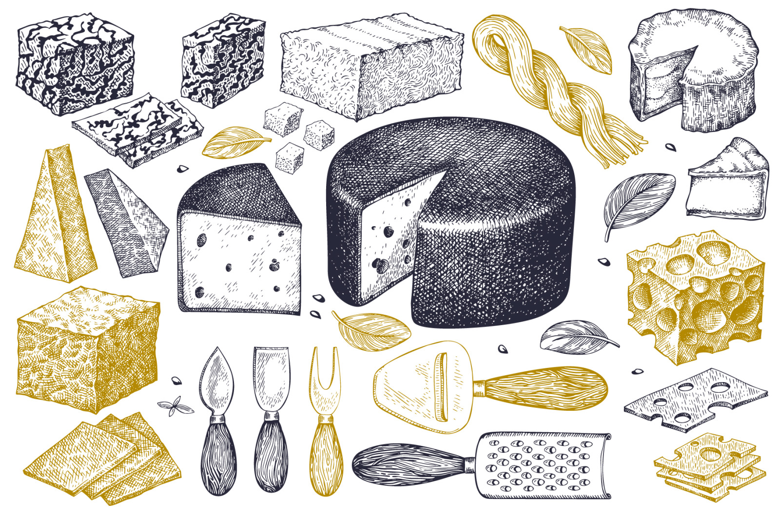 Cheeses Vector Collection